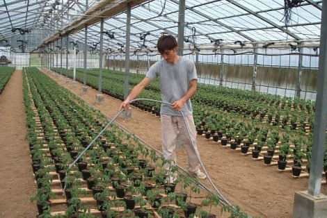 デリシャスファーム