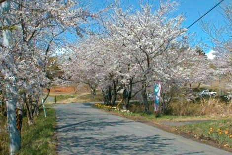 レストラン加護坊四季彩館