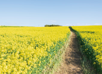 三本木地域 写真