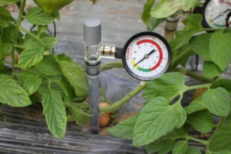 デリシャスファーム