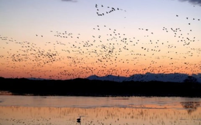 Koen-no-naka-no-yado Roman-kan